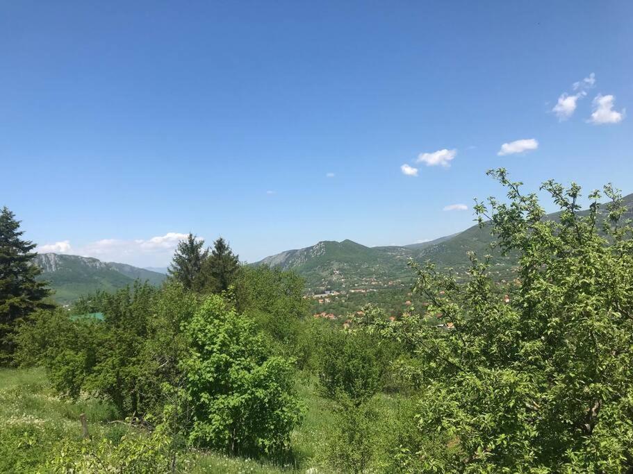 הוילה Nikšić Grandma'S Hut מראה חיצוני תמונה
